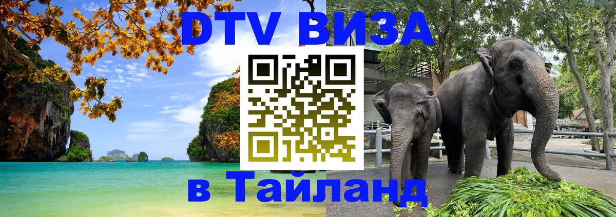 DTV Visa Тайланд купить 